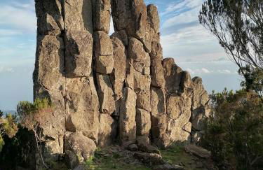 House Vila Santa Ana - Foto 47