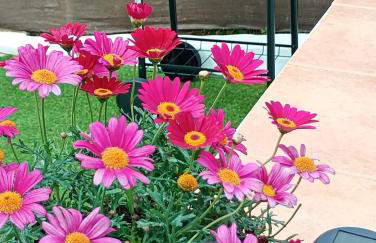 Alojamiento Rural Los Jarritos - Photo 73