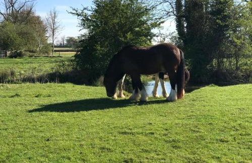 Stable Cottage, Old Mill Farm, Cotswold Water Park - Foto 30