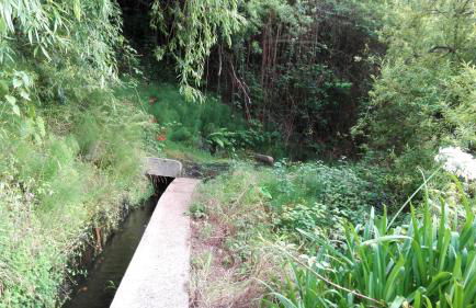 Apartamento Villa - Foto 33