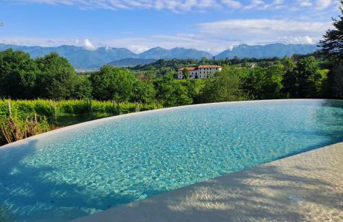 GATTO IN VIGNA - Foto 41