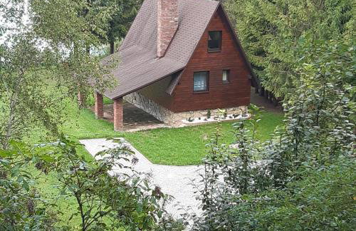 Domek letniskowy nad stawem Temeszów Bieszczady - Foto 22