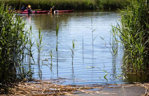 Apartment in Pruchten 41178 - Foto 22