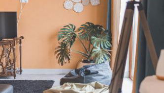 Fraga`s House - Douro e Natureza - Foto 2