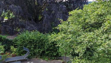 HEIDEWAY KOMPLETTE Wohnung FREI Parken TOP Anbindung A46 - Foto 3, Garden, Garden view