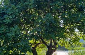 Baćina Lakes - Apartment Jelena - Foto 28