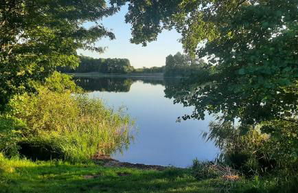 Villa Kunterbunt: Urgemütlich und fast perfekt - Foto 29