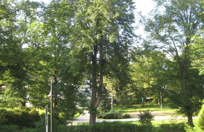 Bad Elster Apartment in Sohl - Foto 27