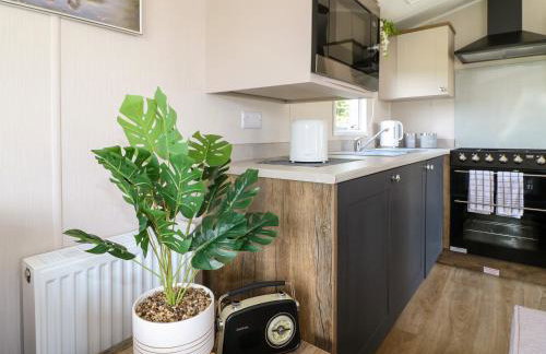 Swan Lodge - Photo 5