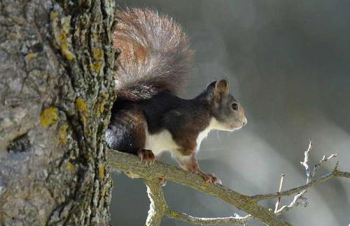 El Rincón de Mariela By Travel Home - Foto 43