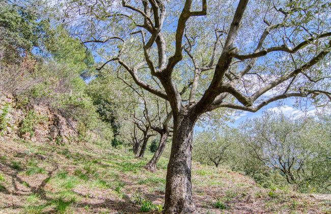 Chez Canard - Foto 37