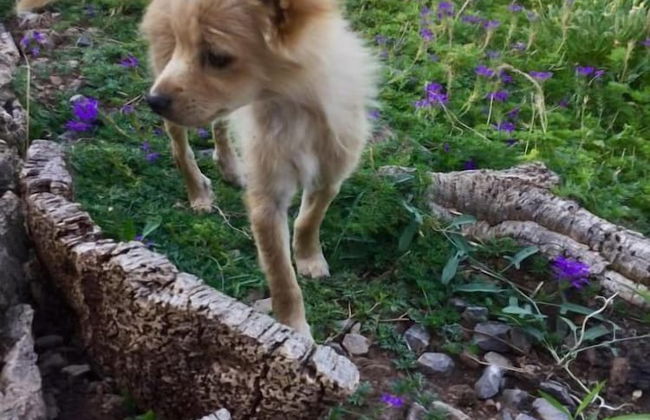 Agriturismo Sogno Latino - Photo 23