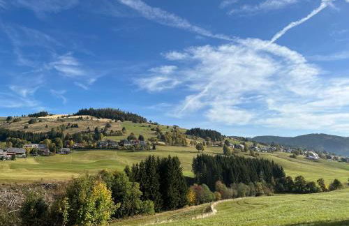 Apartment Schwarzwaldblick II by Interhome - Foto 47