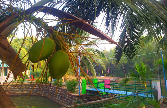 Daaven's Island Resort - Photo 33