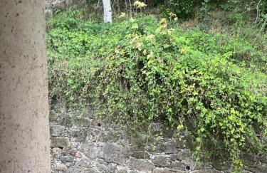 Puigsallança-ye - Foto 13