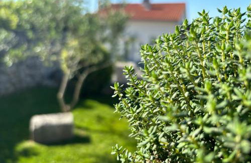 Va Kastav - Photo 59