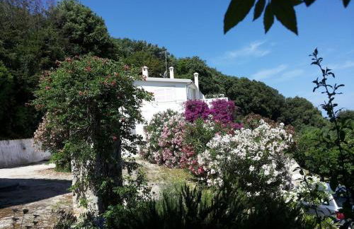 Villa Giulia - Apartment in Villa with sea view - Foto 3