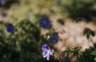 Le Clos d'Omaha - Suites luxueuses à 5 min d'Omaha Beach - Foto 77