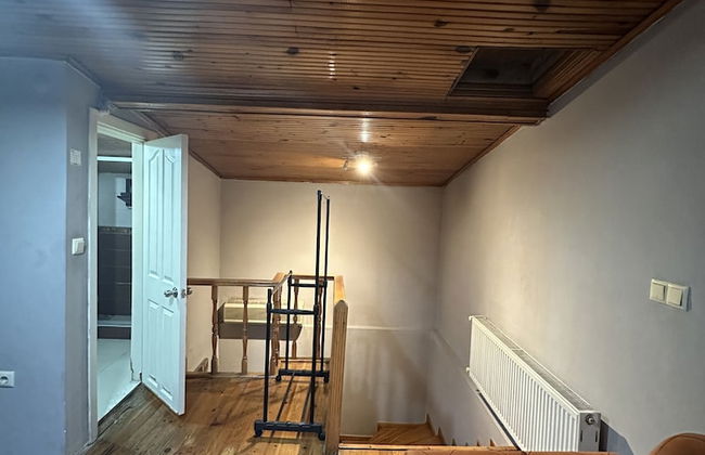 Green Bird Suit - Foto 45