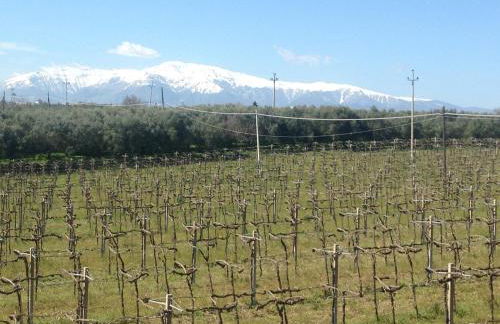 Agriturismo Villa Vetiche - Foto 40