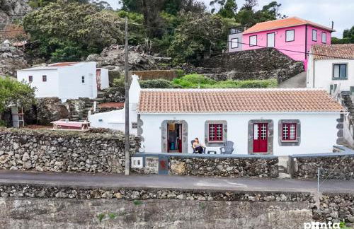 Charming Country House by Ponta Negra Azores - Photo 38