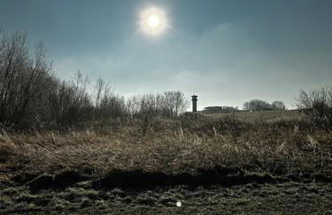 Michaels Elbtraum - Foto 8