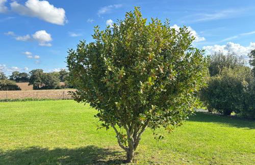 La clé des champs Maison plain pied lumineuse bien équipée, séjour spacieux, belle terrasse aménagée, garage, grand jardin clos, parking, près de Bayeux et Omaha Beach, chiens bienvenus - Foto 46