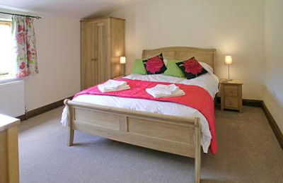 Wriggle View - Dbbm - Foto 8