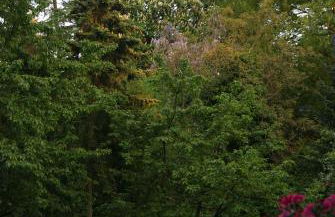 "Am Griebnitzsee" 14482 Potsdam-Babelsberg - Foto 17