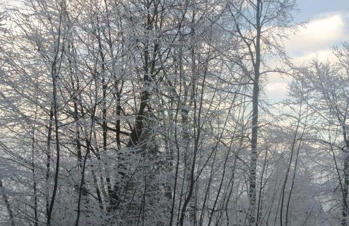 résidence Le Platé - Foto 9