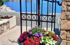 Sea garden Grilov - Foto 16