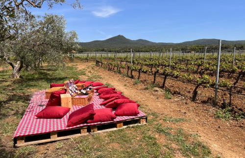 Mia Margot Suite Apartment - Foto 22