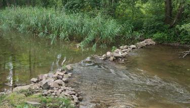 Gościniec Kotowina - Foto 5