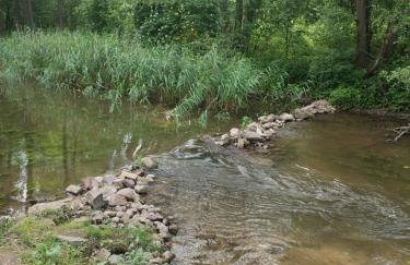 Gościniec Kotowina - Foto 5