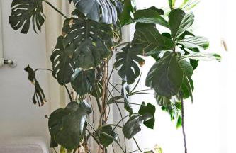 oasi di relax in centro a milano - Foto 22