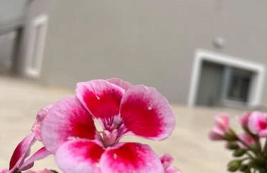 Villa Maria Eirini - Foto 26