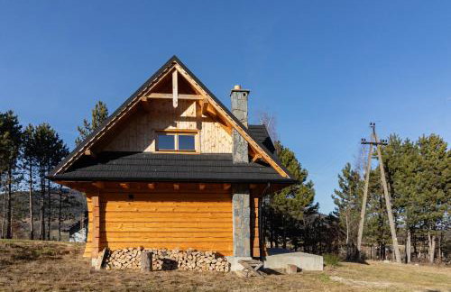 zDrzewaDom - Photo 7