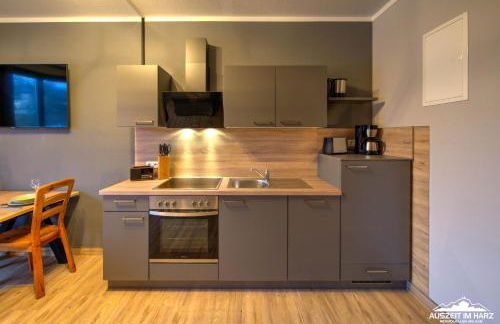 Auszeit-im-Harz Haus 5 Wohnung 33 - Foto 3