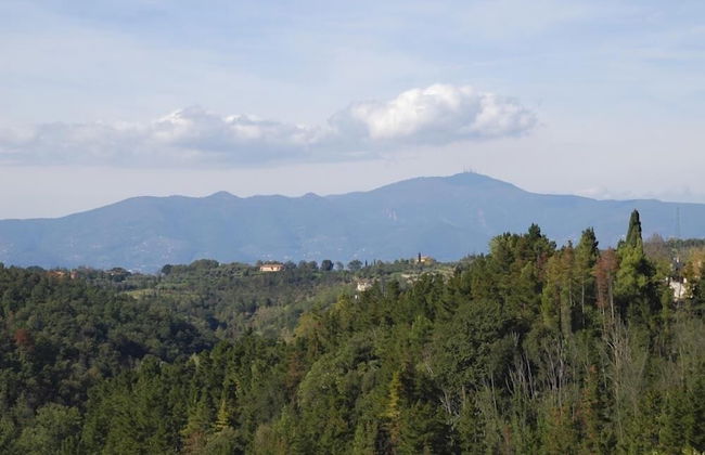 Verdidea - Podere Torre - Foto 64