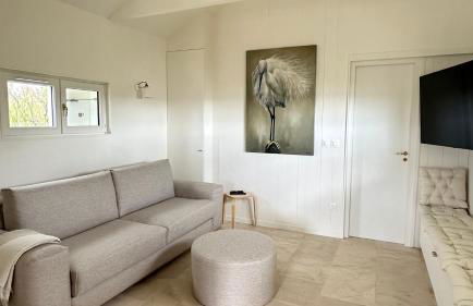 MAISON SUR LA PLAGE avec VUE MER PANORAMIQUE - Foto 16