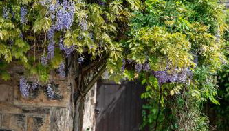 Chantry House - Foto 2