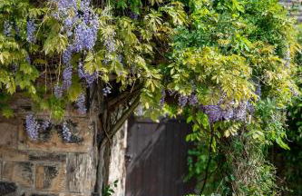 Chantry House - Foto 2