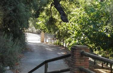 Casas Rurales El Viejo Castaño - Valle Del Genal - Foto 60