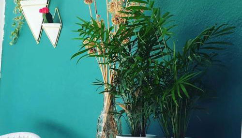 Babushka Apartments - Photo 2