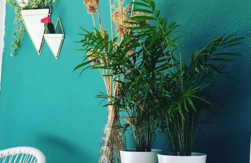 Babushka Apartments - Photo 2