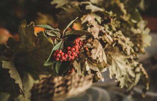 Agriturismo Zampugna - Foto 98