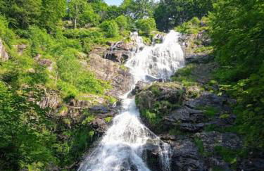 Ferienwohnung Hirschkopf - Foto 15
