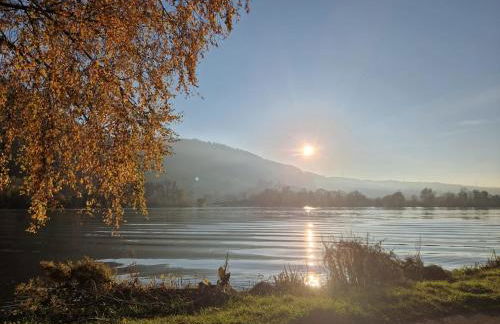 Ferienwohnungen am Moselbeach - Foto 13