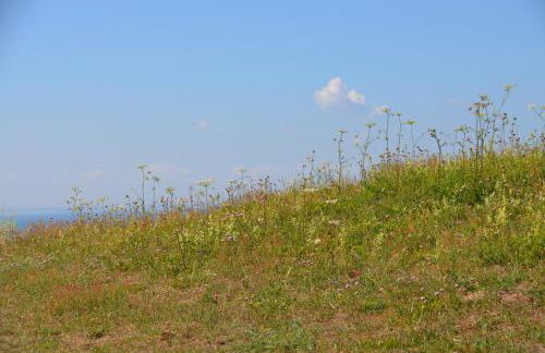 Haus Vineta - Foto 13