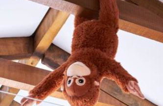 Trie Vineyard Cottage - Foto 25